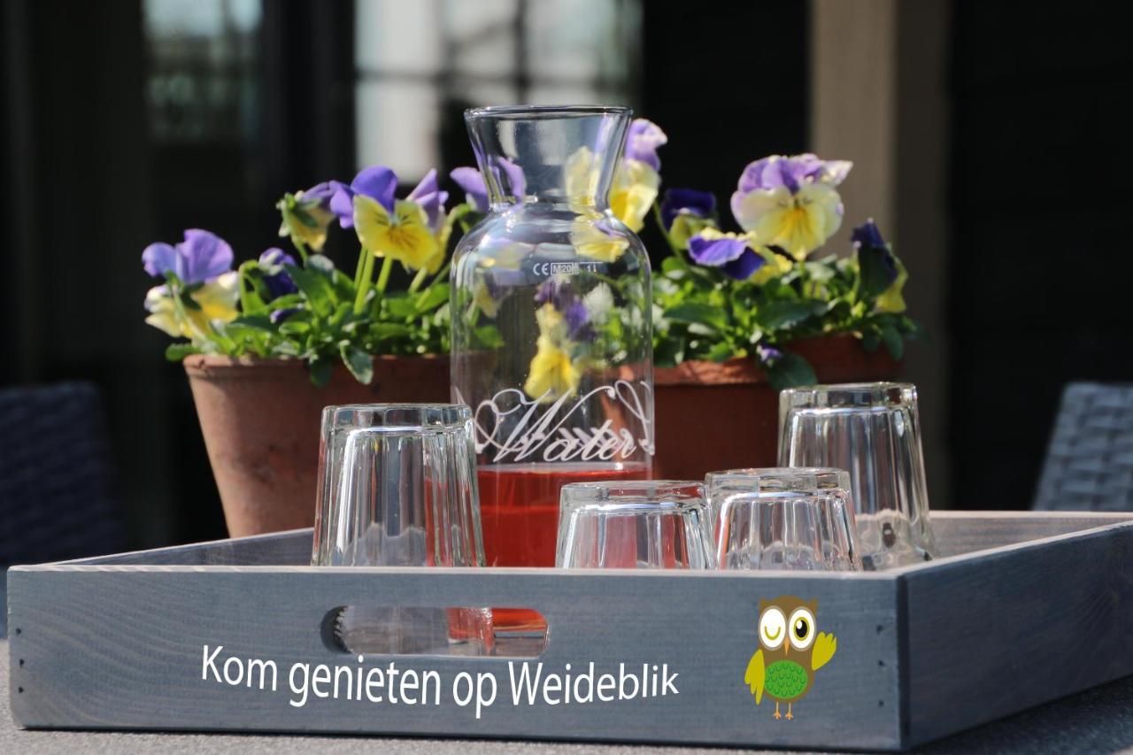 Vakantiehuis Weideblik Biezenmortel エクステリア 写真
