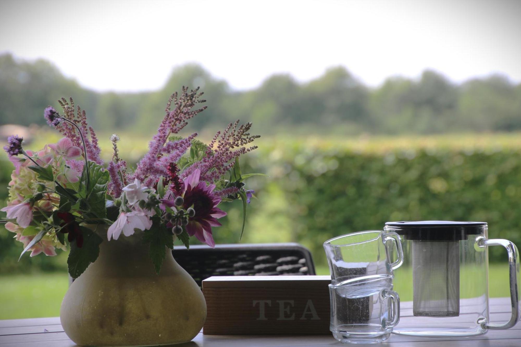 Vakantiehuis Weideblik Biezenmortel エクステリア 写真