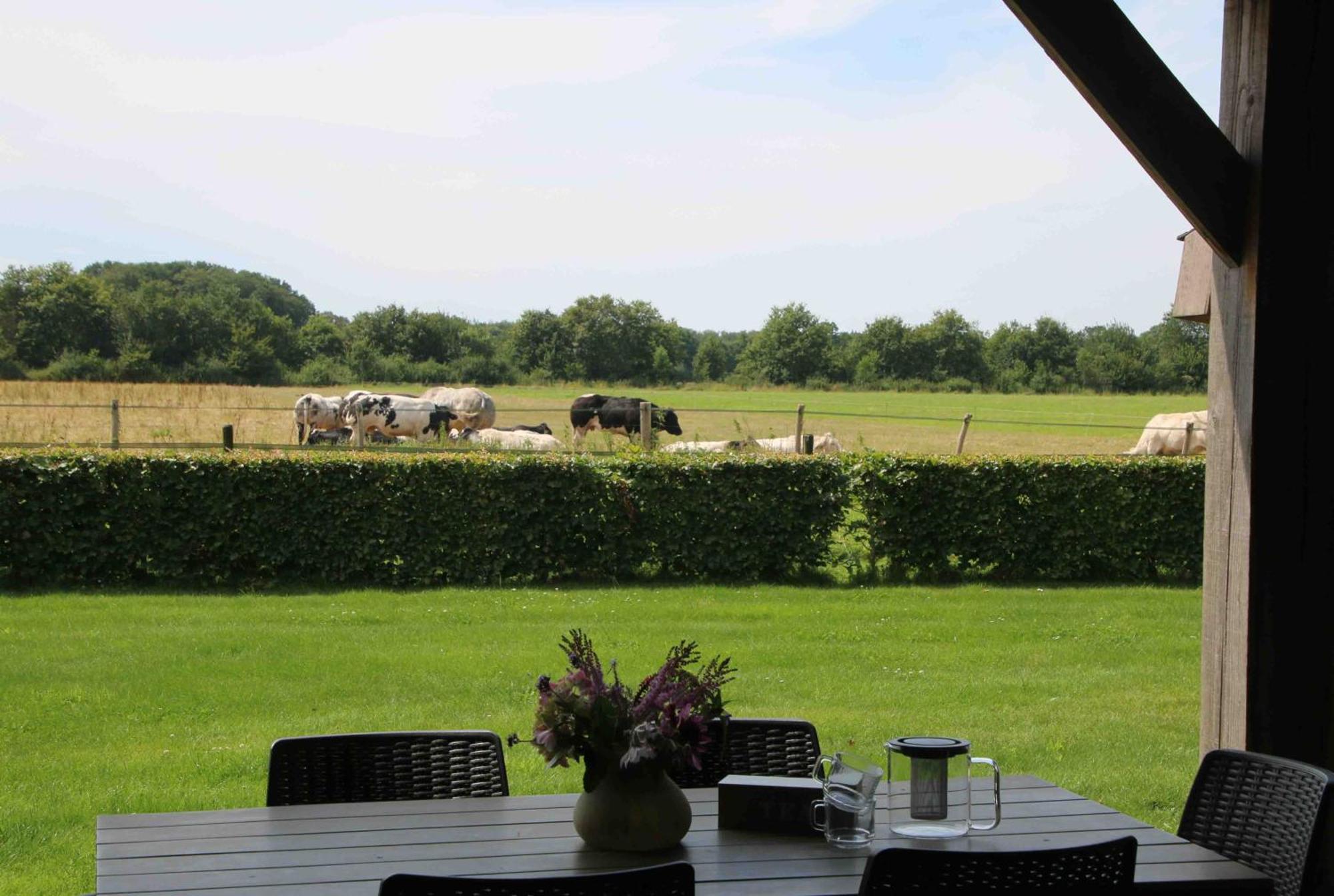 Vakantiehuis Weideblik Biezenmortel エクステリア 写真