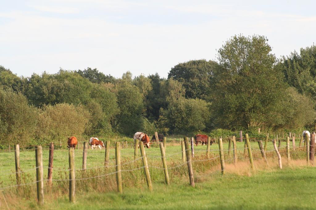 Vakantiehuis Weideblik Biezenmortel エクステリア 写真